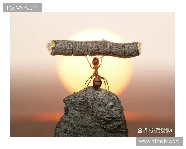 攀岩之路上的深度对话：杨静如何在挑战中找到自我与激情